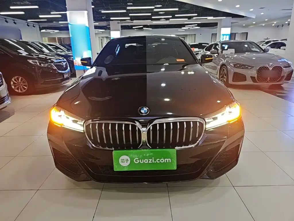 BMW 5 Series — миниатюра 3