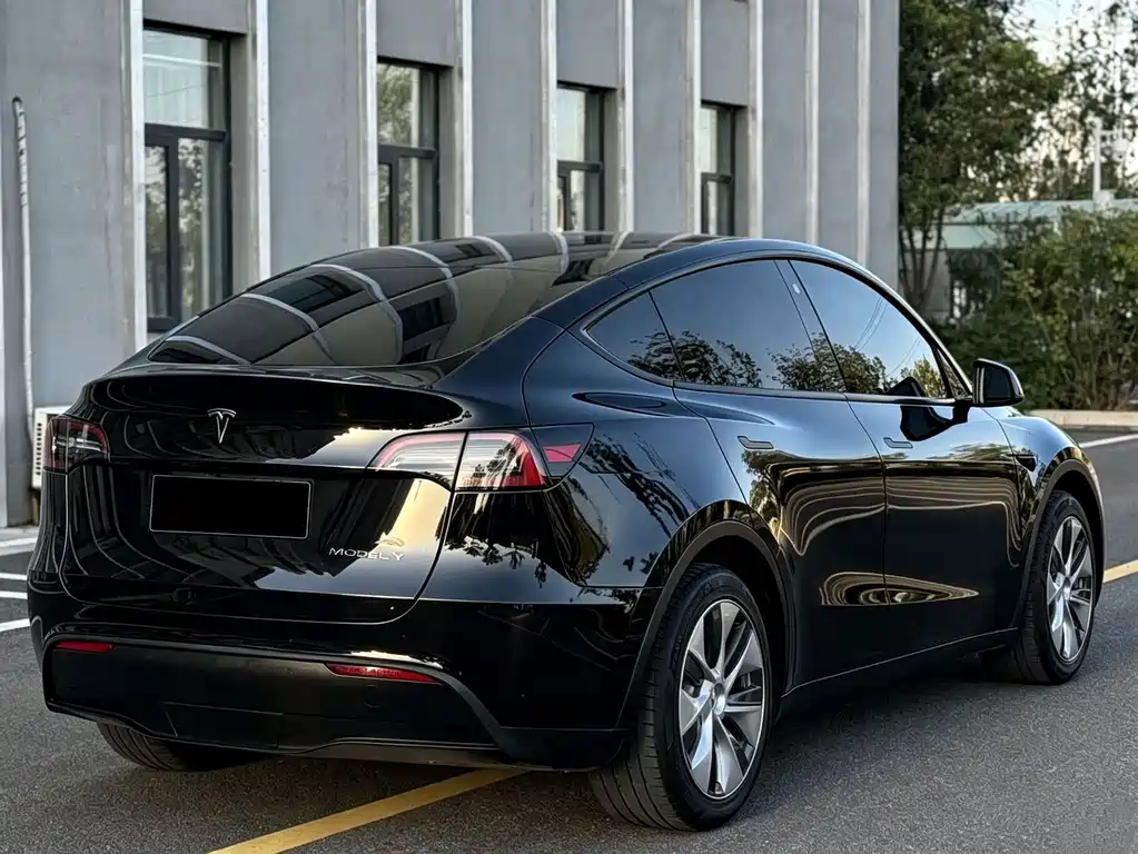 Tesla Model Y — миниатюра 12