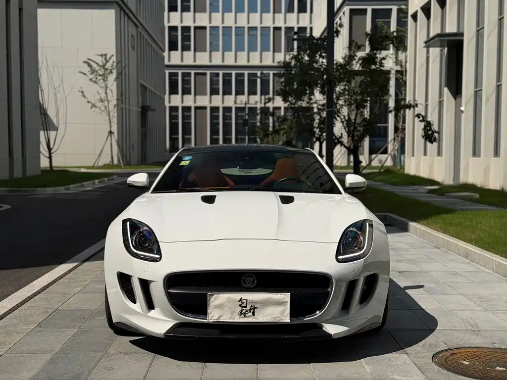 Jaguar F-TYPE — миниатюра 2