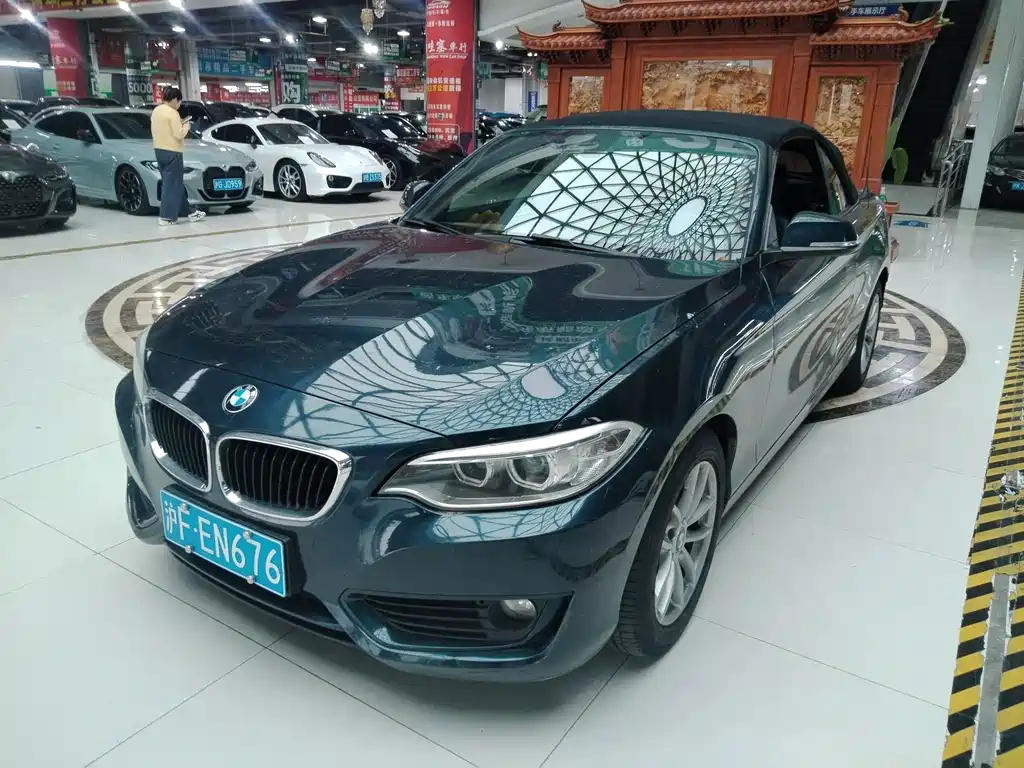 BMW 2 Series (Import) 2017