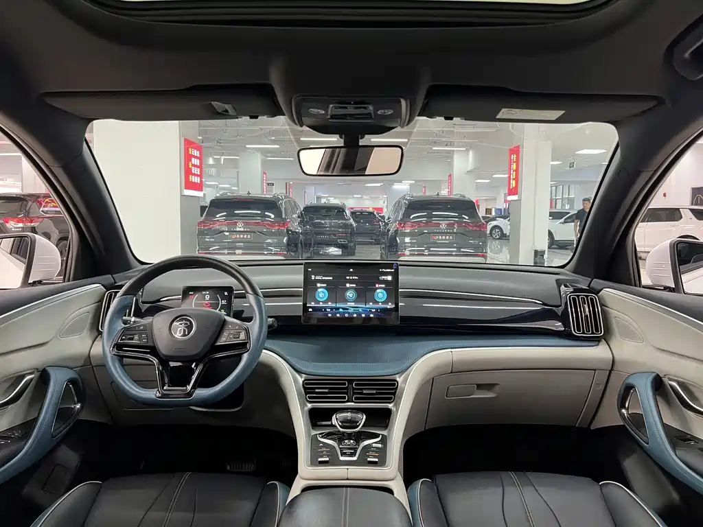 BYD Pro — миниатюра 5