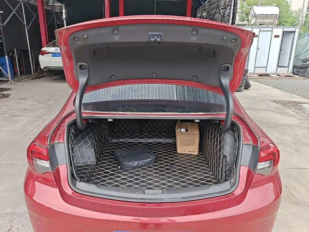 Buick Regal — миниатюра 19