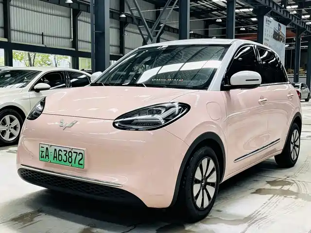 2024 Wuling Motors Binguo