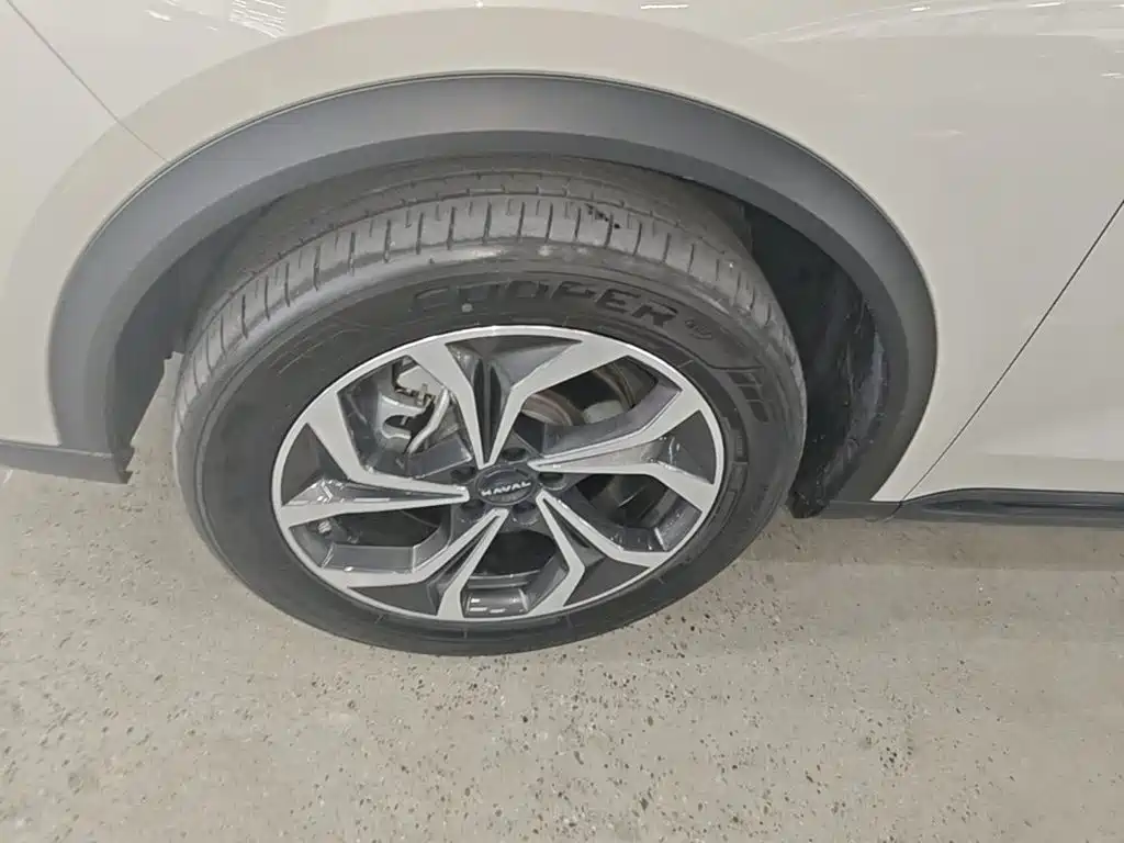 Haval Xiaolong MAX — миниатюра 23