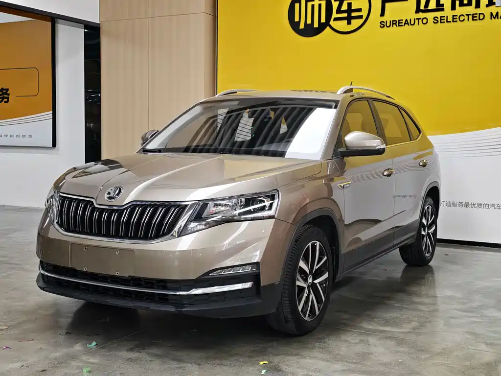 Купить Skoda Kamiq