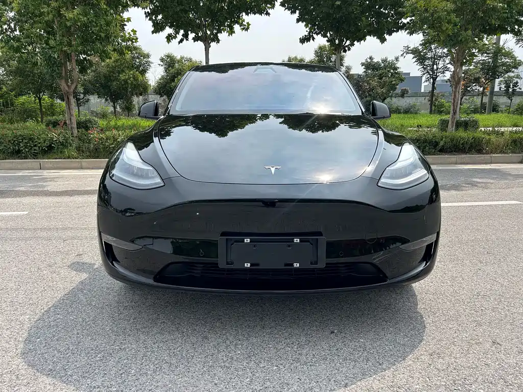 Tesla Model Y — миниатюра 2