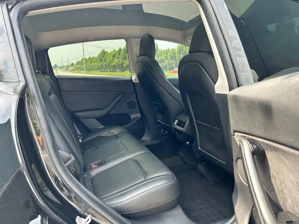 Tesla Model Y — миниатюра 7