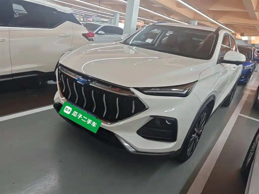 Купить Oshan Oushang X5