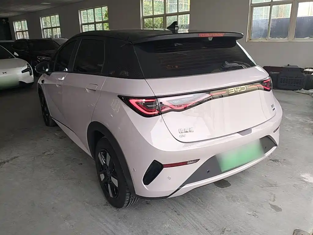 BYD Dolphin — миниатюра 5