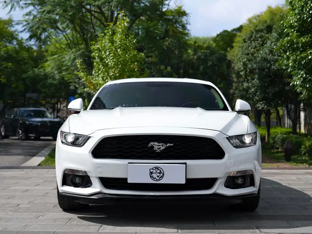 Ford Mustang — миниатюра 2
