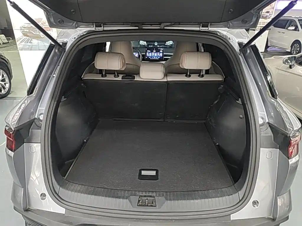 BYD Pro New Energy — миниатюра 19