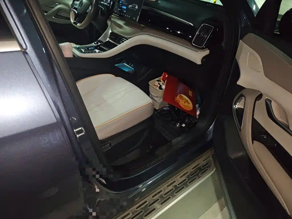 BYD Pro New Energy — миниатюра 19
