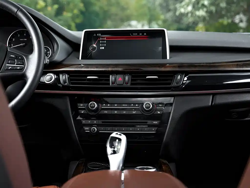 BMW X5 (Import) — миниатюра 9