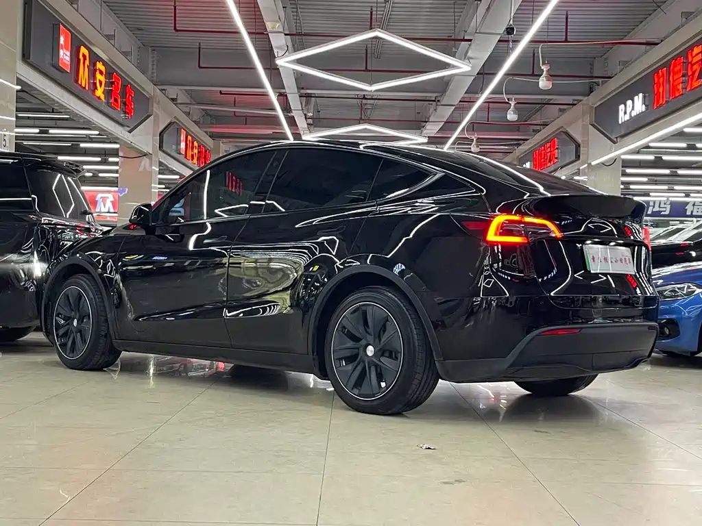 Tesla Model Y — миниатюра 7