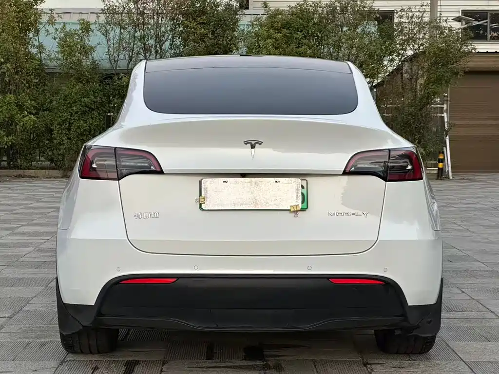 Tesla Model Y — миниатюра 8