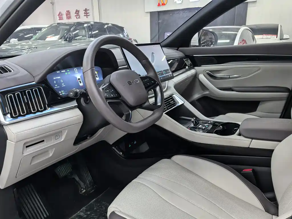 BYD PLUS New Energy — миниатюра 5