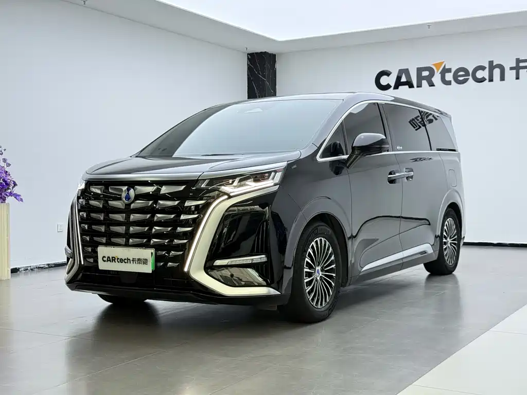 Denza Denza D9