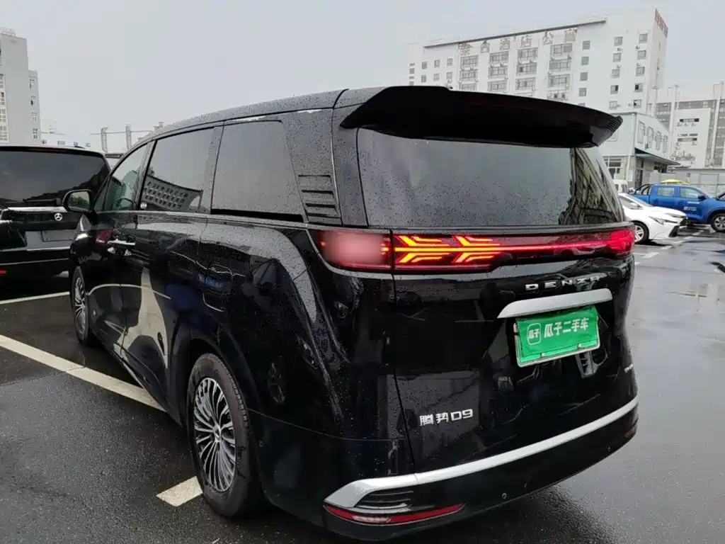 Denza Denza D9 — миниатюра 5