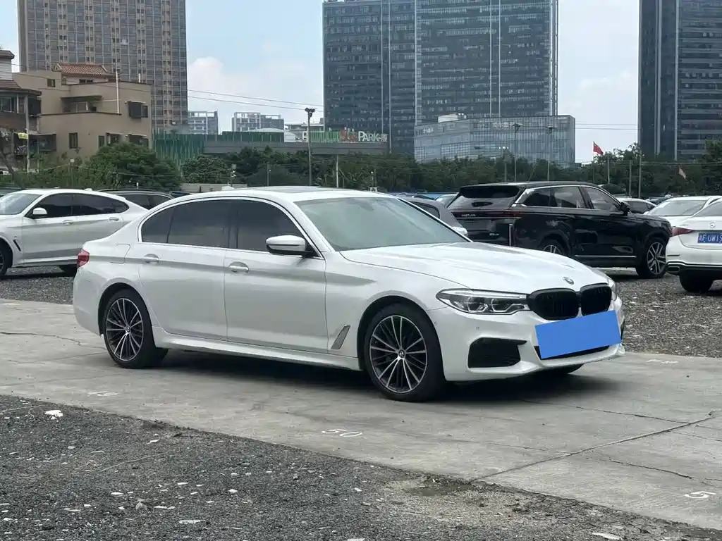BMW 5 Series 5 2020 530Li Premium M Sport