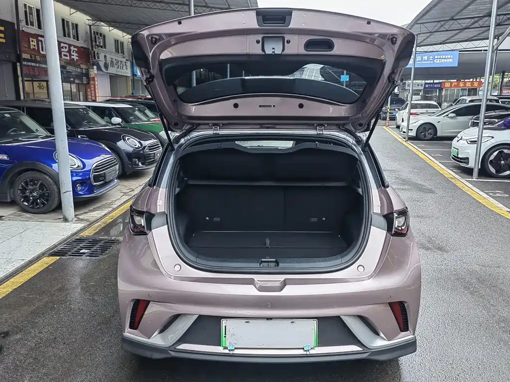 BYD Dolphin — миниатюра 7