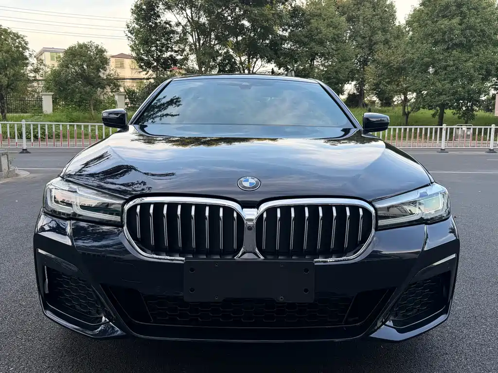 BMW 5 Series — миниатюра 2