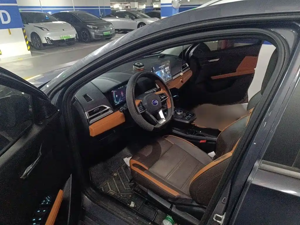 BYD e2 — миниатюра 14
