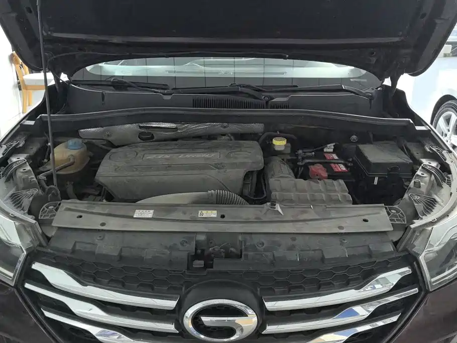 GAC Motor Trumpchi GS4 — миниатюра 10