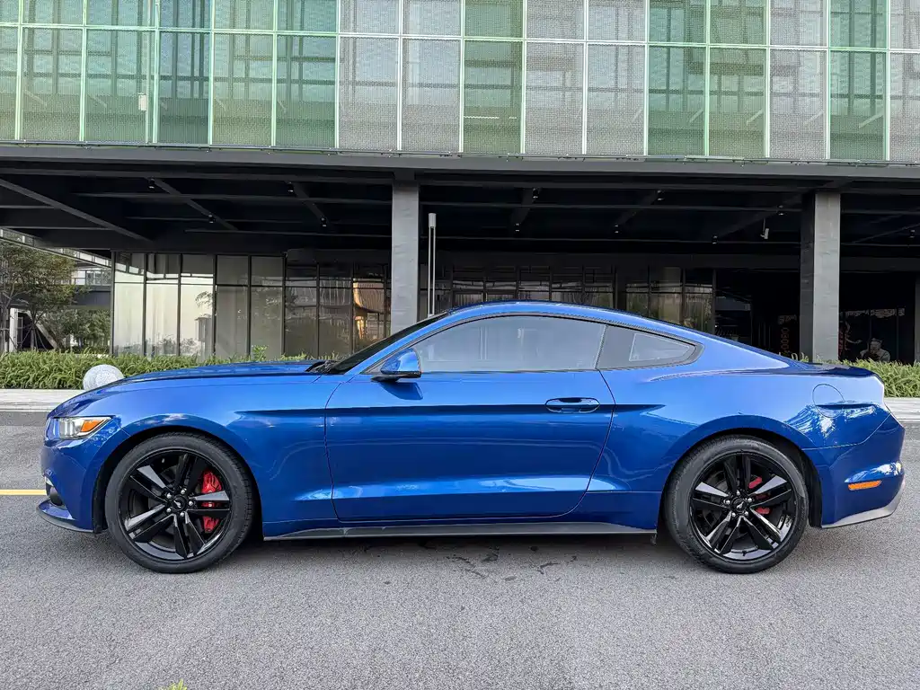 Ford Mustang — миниатюра 11