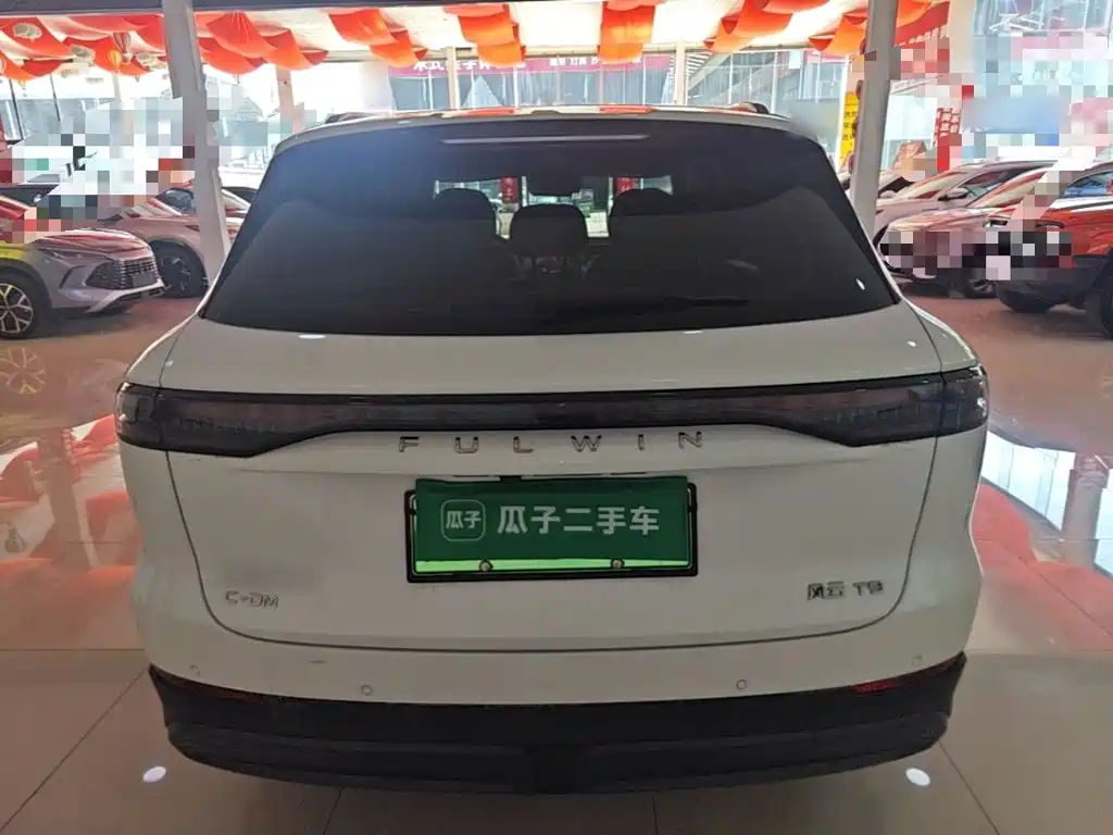 Fulwin Fengyun T9 — миниатюра 6