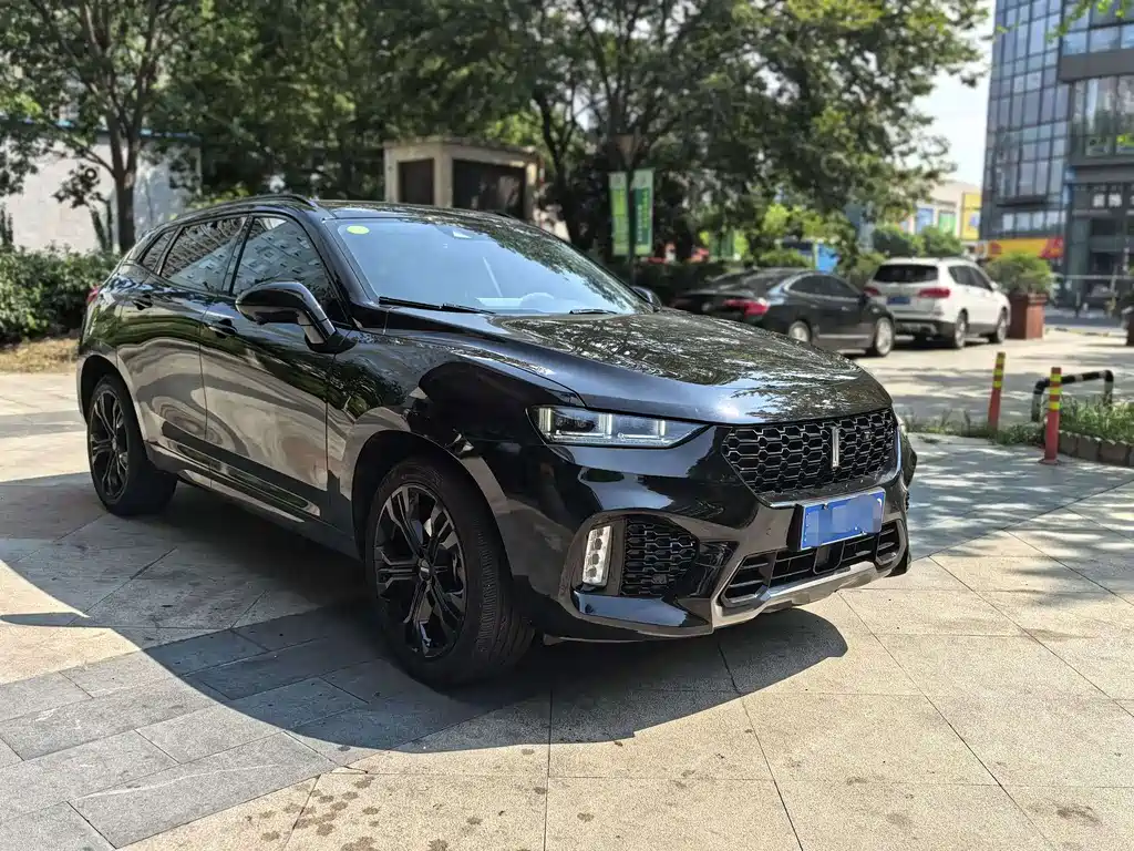 Wey VV7 2019 2.0T V
