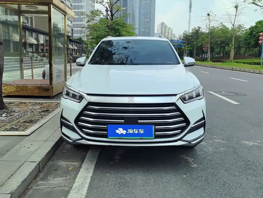 BYD Pro New Energy — миниатюра 2