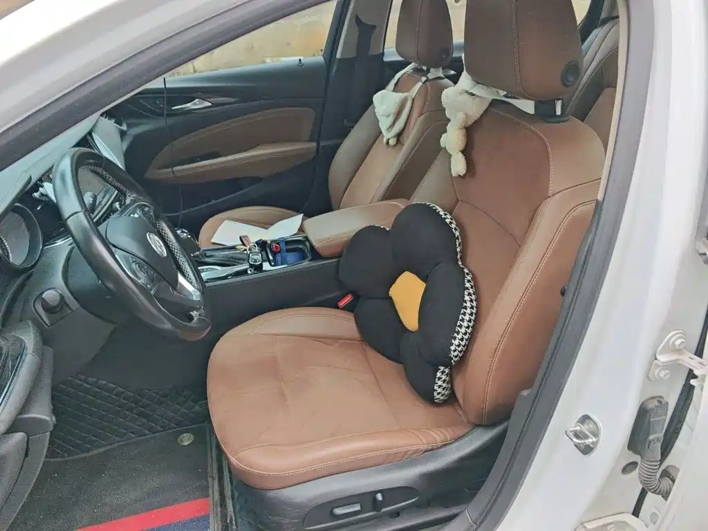 Buick Regal — миниатюра 8