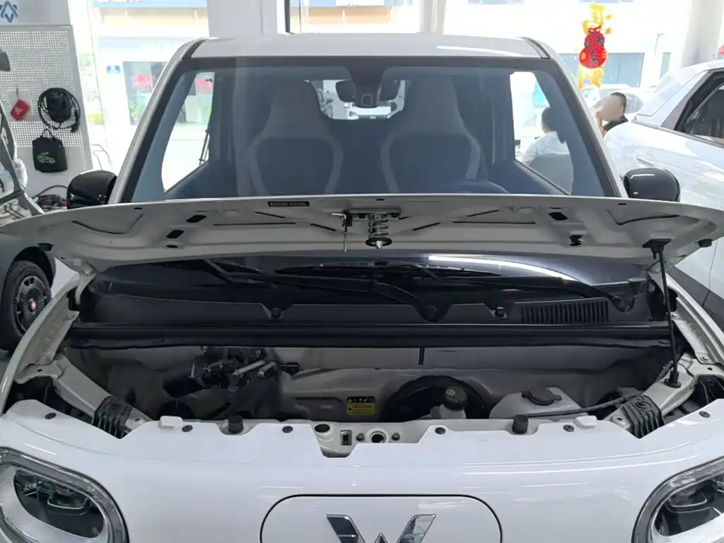 Wuling MINIEV — миниатюра 20