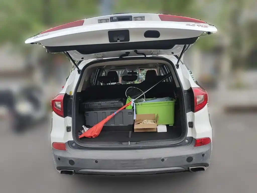 BYD Song — миниатюра 15