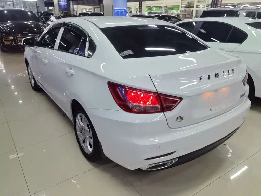 Haima Familia F5 — миниатюра 5