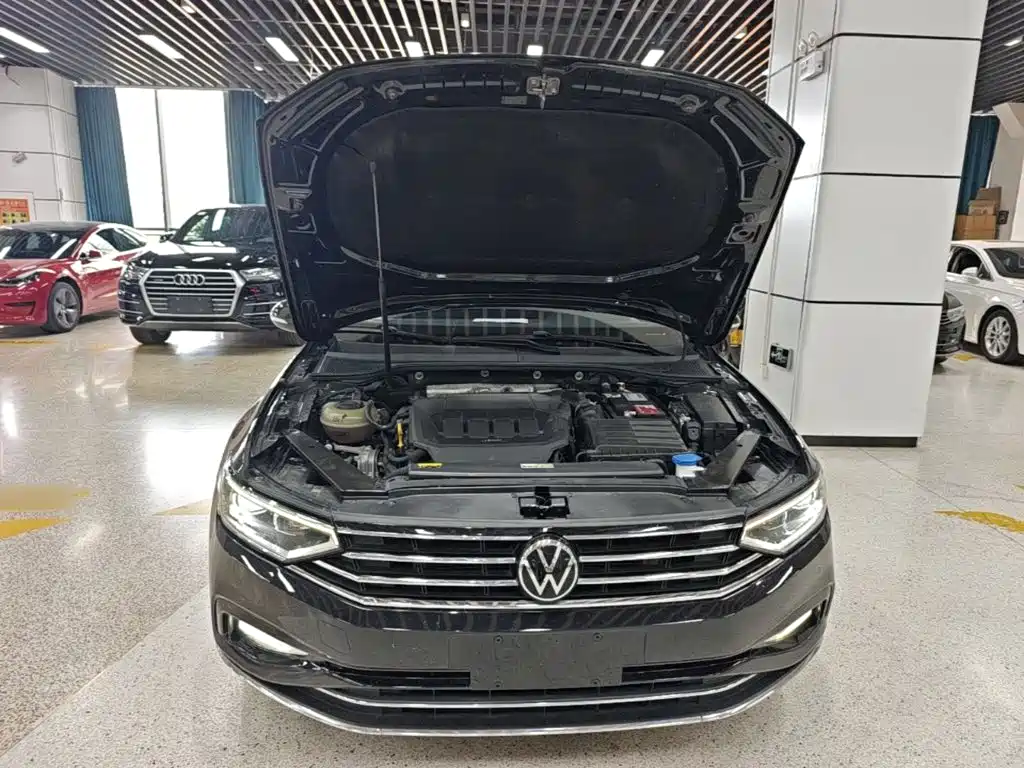 Volkswagen Magotan — миниатюра 20
