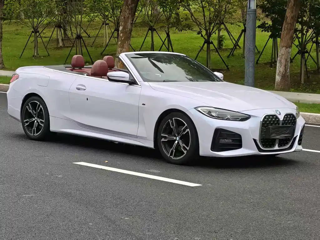 BMW 4 Series — миниатюра 4