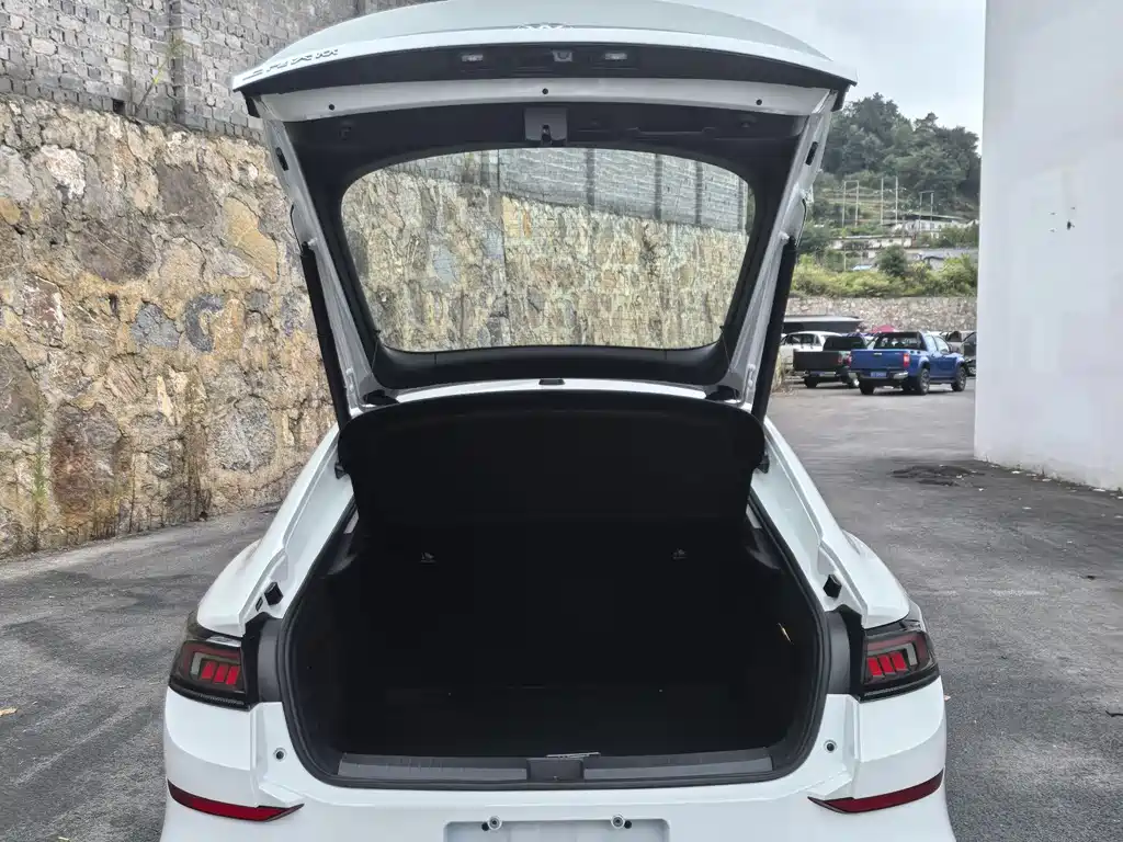 Volkswagen Lamando — миниатюра 10