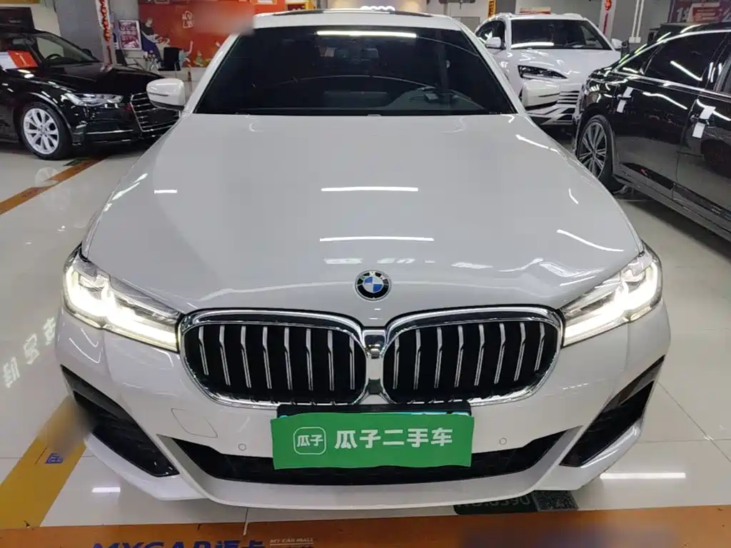 BMW 5 Series — миниатюра 3