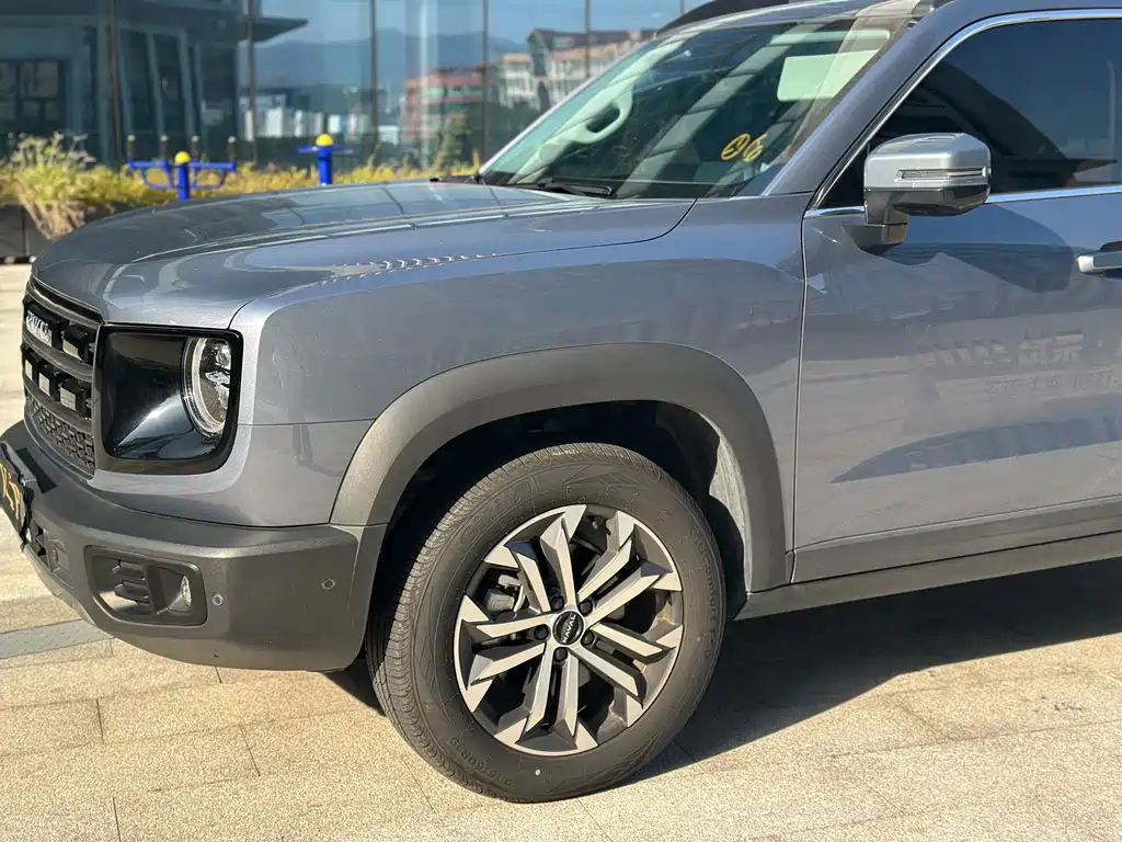 Haval Big Dog — миниатюра 15