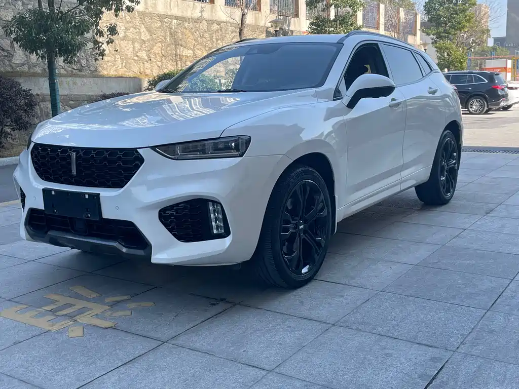 WEI PAI WEI BRAND VV7