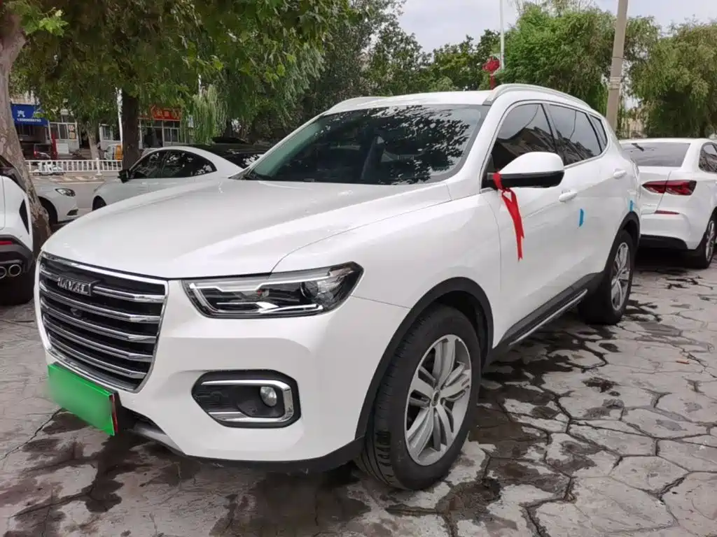 Haval H6 — миниатюра 2