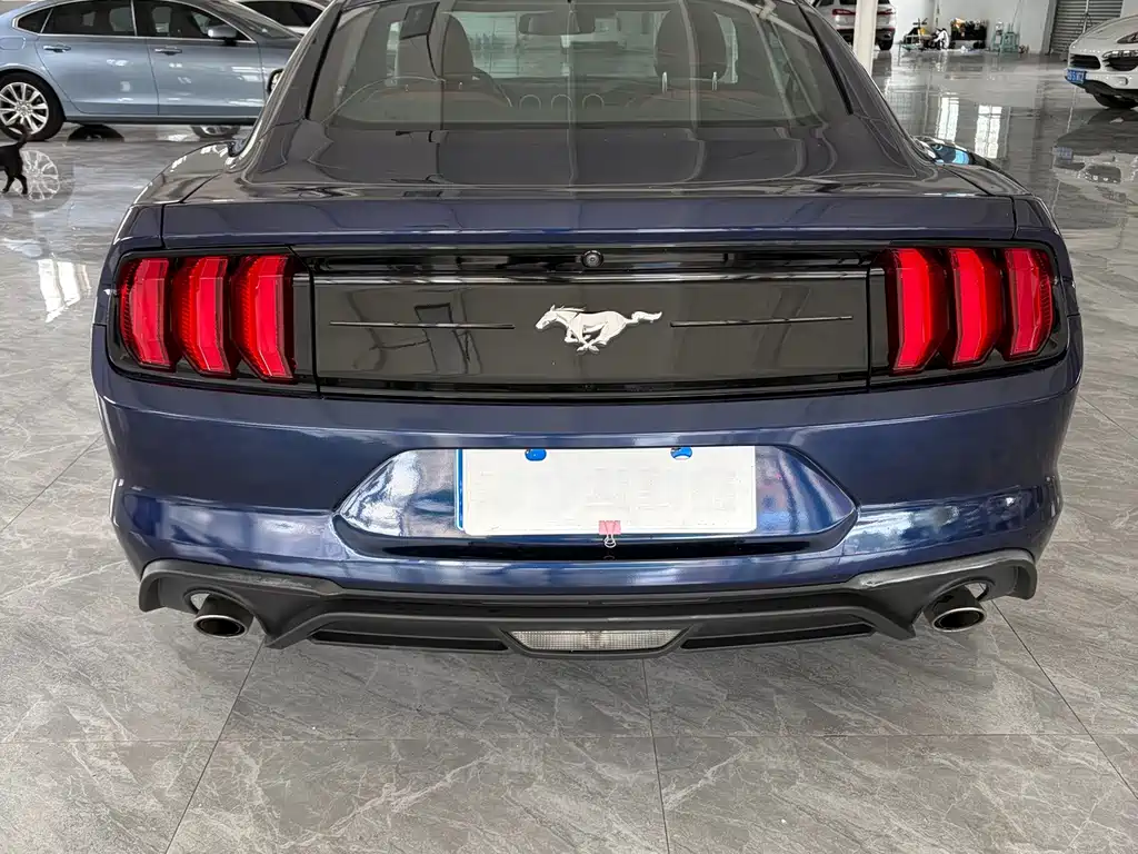 Ford Mustang — миниатюра 5