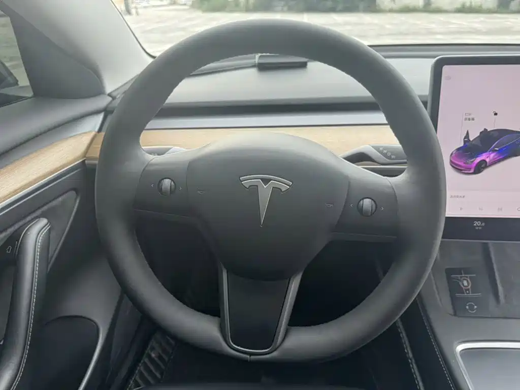 Tesla Model 3 — миниатюра 25