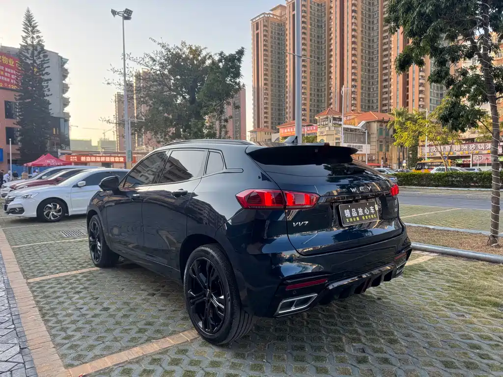 WEI PAI WEI BRAND VV7