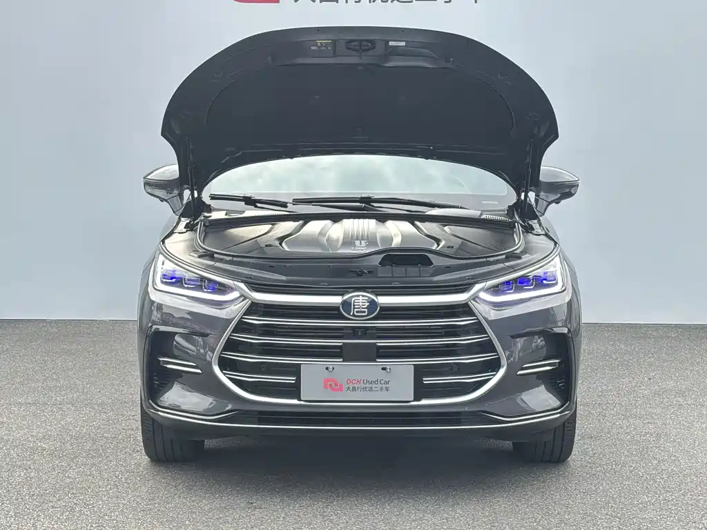 BYD Tang New Energy — миниатюра 7
