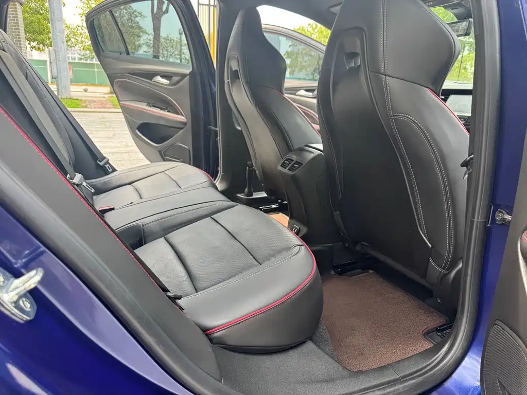 Buick Regal — миниатюра 14
