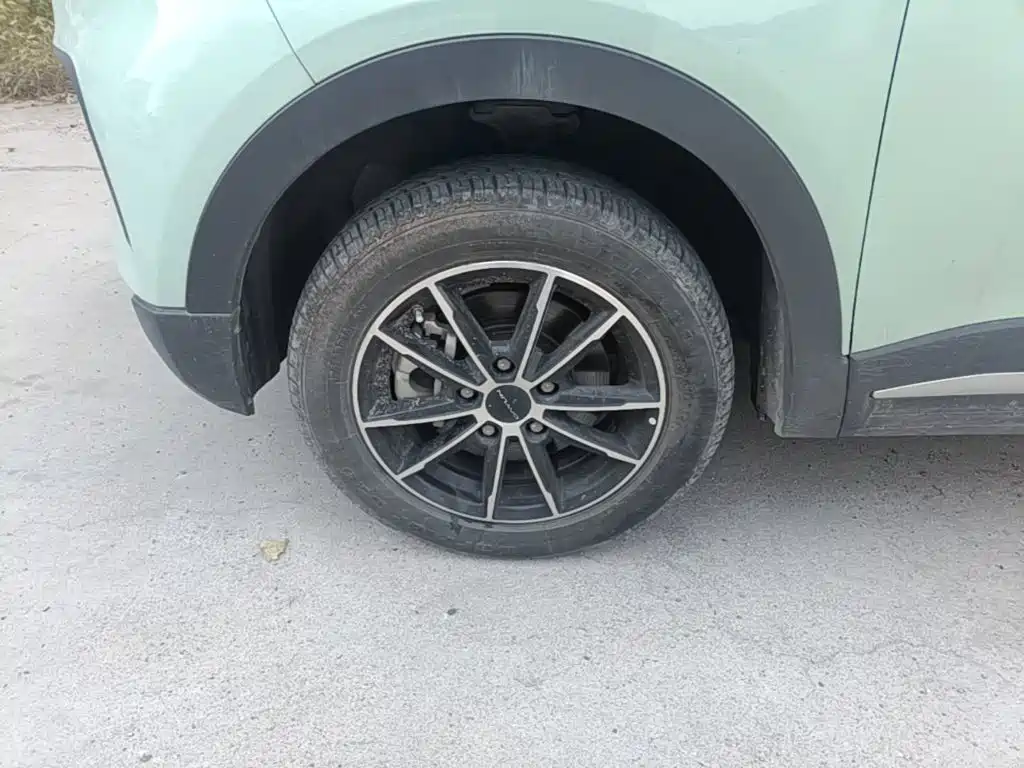 Dayun Yuehu — миниатюра 23