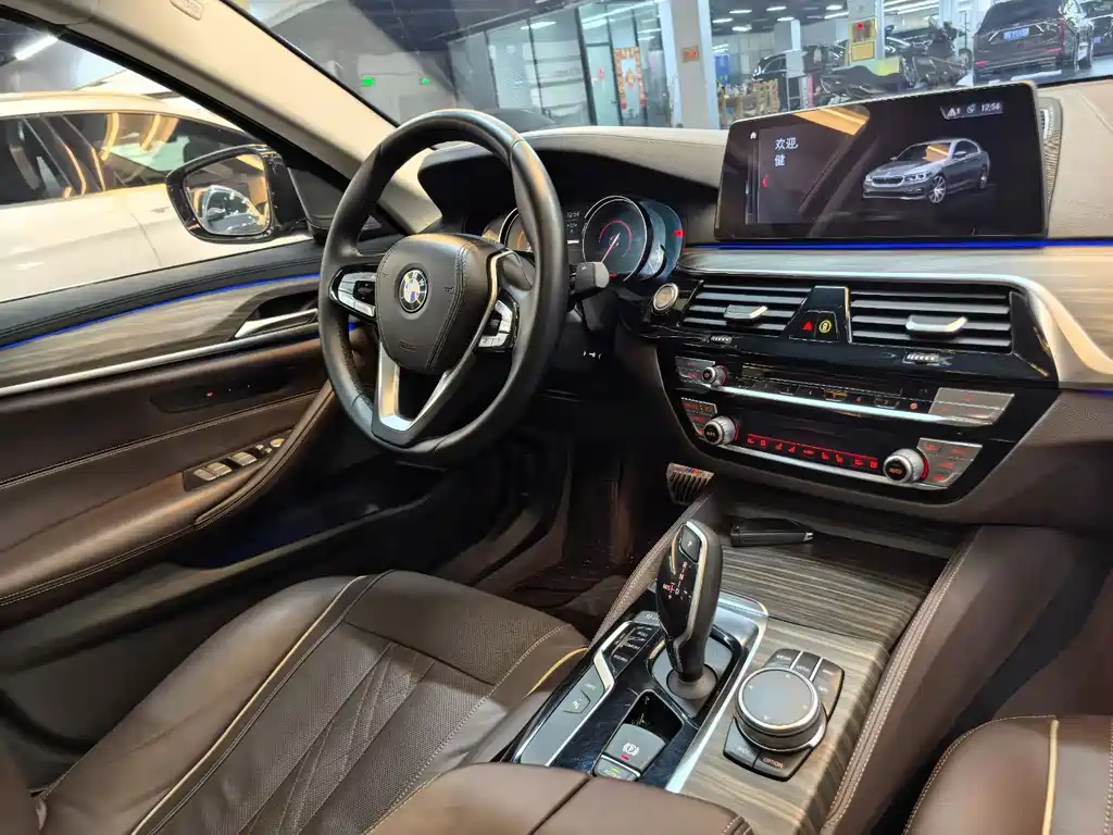 BMW 5 SERIES NEW ENERGY