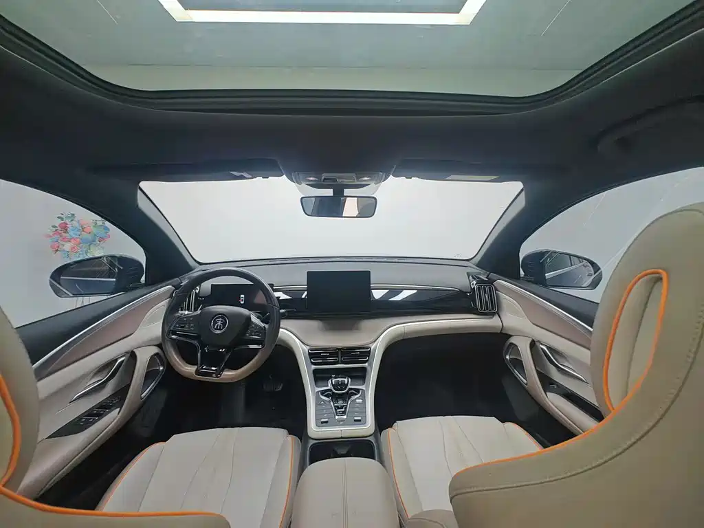 BYD Pro New Energy — миниатюра 8
